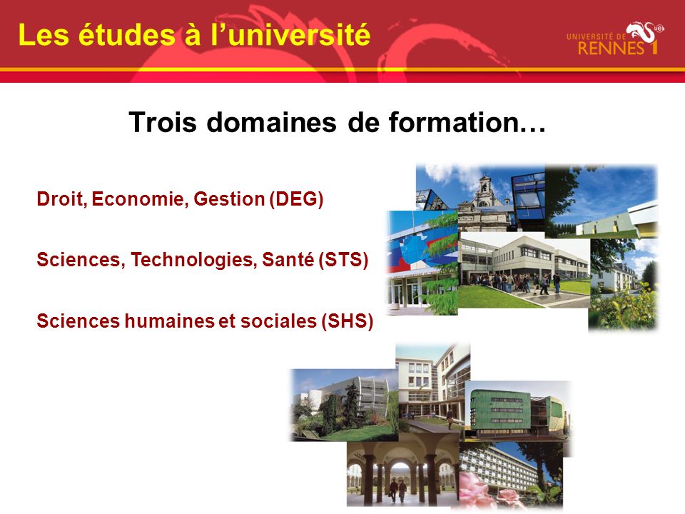 Des études à luniversité Comment ppt télécharger